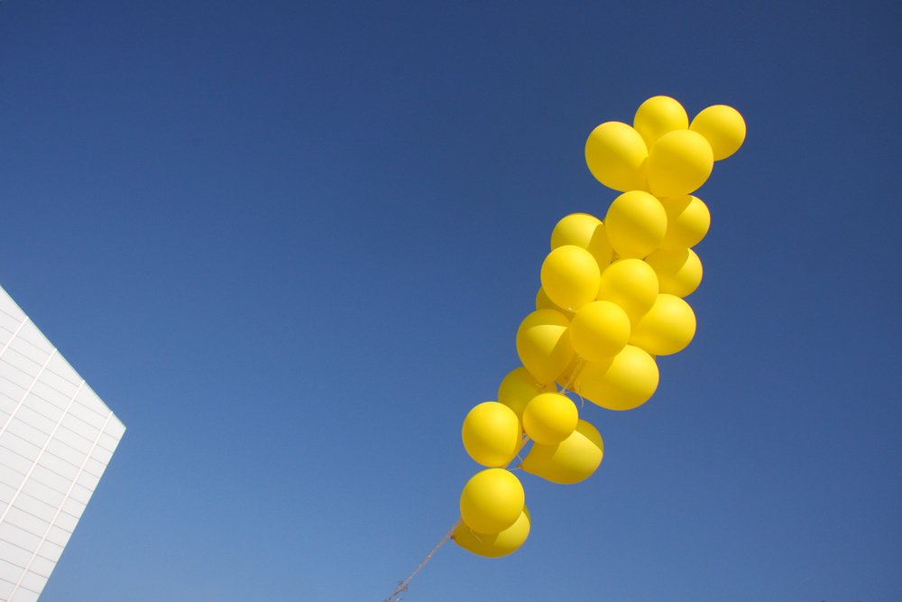 We are six today! Read more about this years highlights here: ow.ly/UHTY30aQ002