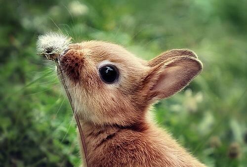 Hope everyone is enjoying Easter Sunday <a href="/ECBANetworking/">EastCorkBusiness</a> <a href="/MidletonChamber/">Midleton Chamber</a> @TheMidletonPark #HappyEaster #EasterWeekend 🐥🐣🐰🐥🐣🐰