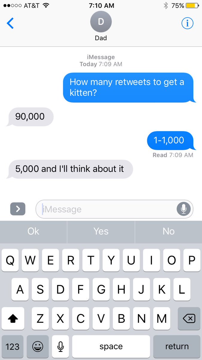AmbroseDark11's tweet photo. I NEED A KITTEN PLEASE https://t.co/EnNZYk1eFh