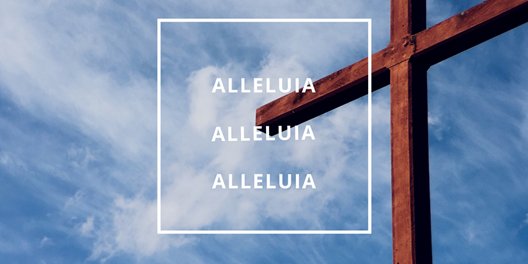 OfficeofABC's tweet image. Hope has beaten despair. 
Light has beaten darkness. 
Life has beaten death forever. 
All because Christ is Risen! 
#Easter #EasterDay