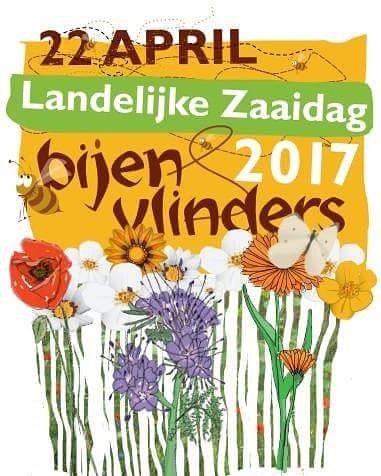 pimlemmers's tweet photo. In a week we give the #bees and #butterflies on #earthday2017 more #flowers. Join us and let them buzzing!! @MeadowInGarden @seed_ball https://t.co/OHb7V31u0H