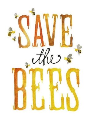 pimlemmers's tweet photo. In a week we give the #bees and #butterflies on #earthday2017 more #flowers. Join us and let them buzzing!! @MeadowInGarden @seed_ball https://t.co/OHb7V31u0H