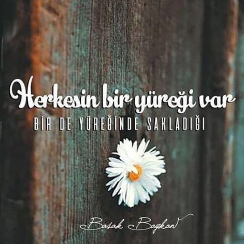 Söz Diyarı (@paylasim_agaci) on Twitter photo 