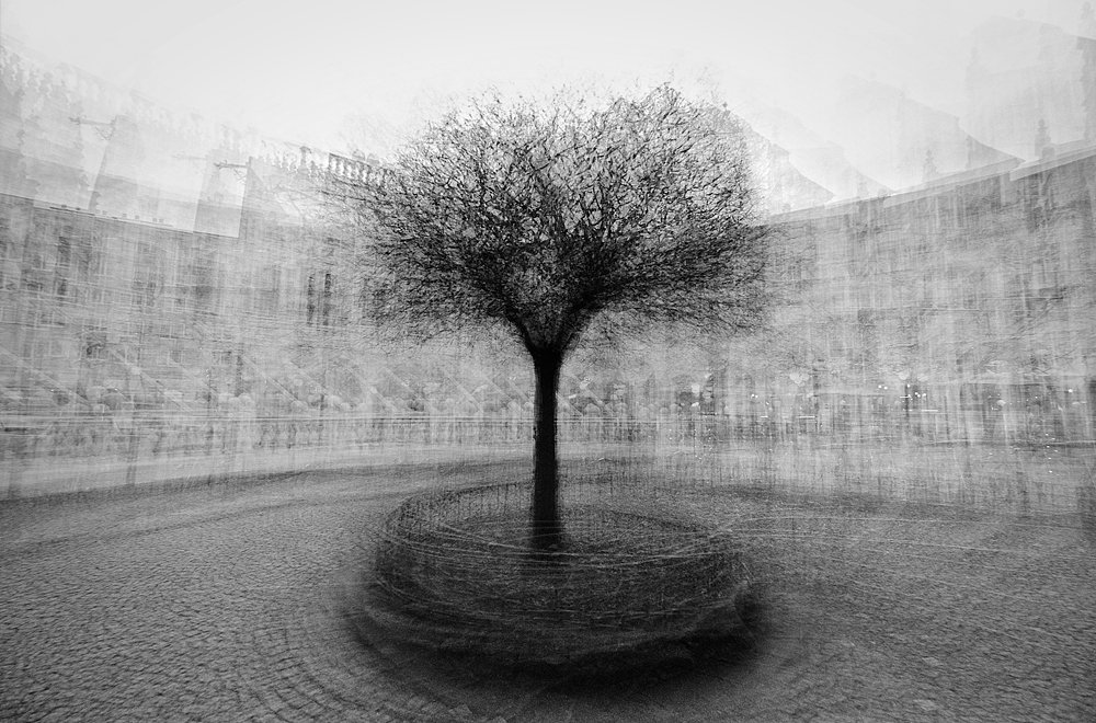 framafo's tweet photo. Very happy with the 2nd place at the Fine Art Photography Awards 2017!
https://t.co/Ww7rfucX6W
#fineartphotoaward #photography https://t.co/ux9XqV1PuQ