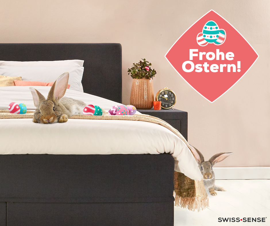 SwissSenseDE's tweet photo. Wollen Sie mehr als nur Ostreier finden? Bei uns finden Sie Ihr Traumbett! Schönes Osterwochenende! #ostern https://t.co/qJdwvfo6Ab