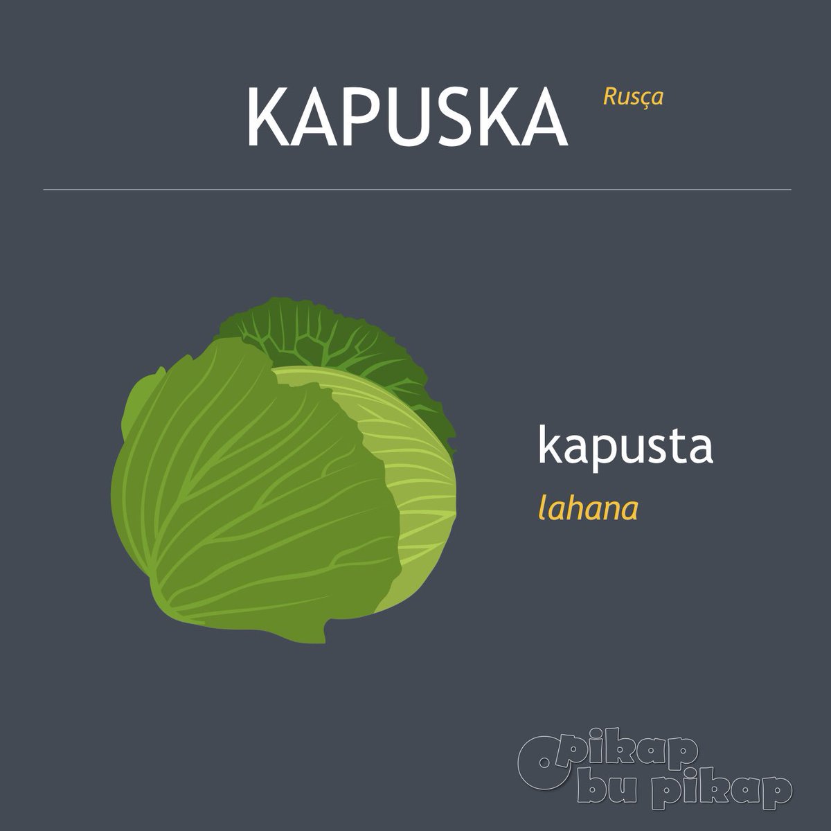 #kapuska #lahana #diyet #antioksidan