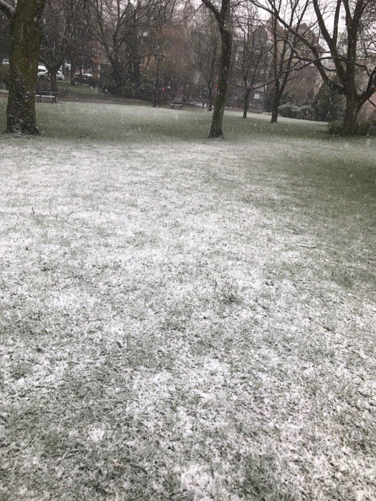 marcinwasilczyk's tweet photo. I'm dreaming of a white Christm... oh wait ... white Easter??? #crazywheather #snow #Poland https://t.co/Uo4L0Y931u