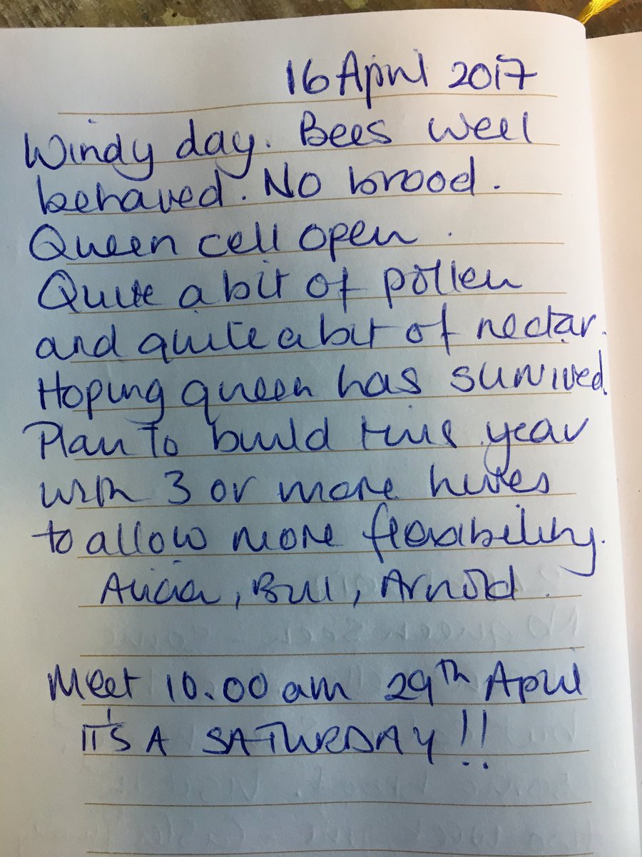 bee7forestgate's tweet image. 