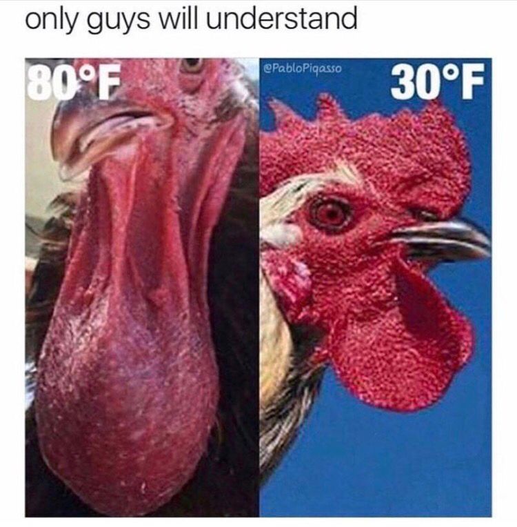 CauseWereGuys's tweet photo. Only guys will understand.. https://t.co/eZTTA4Xqzg