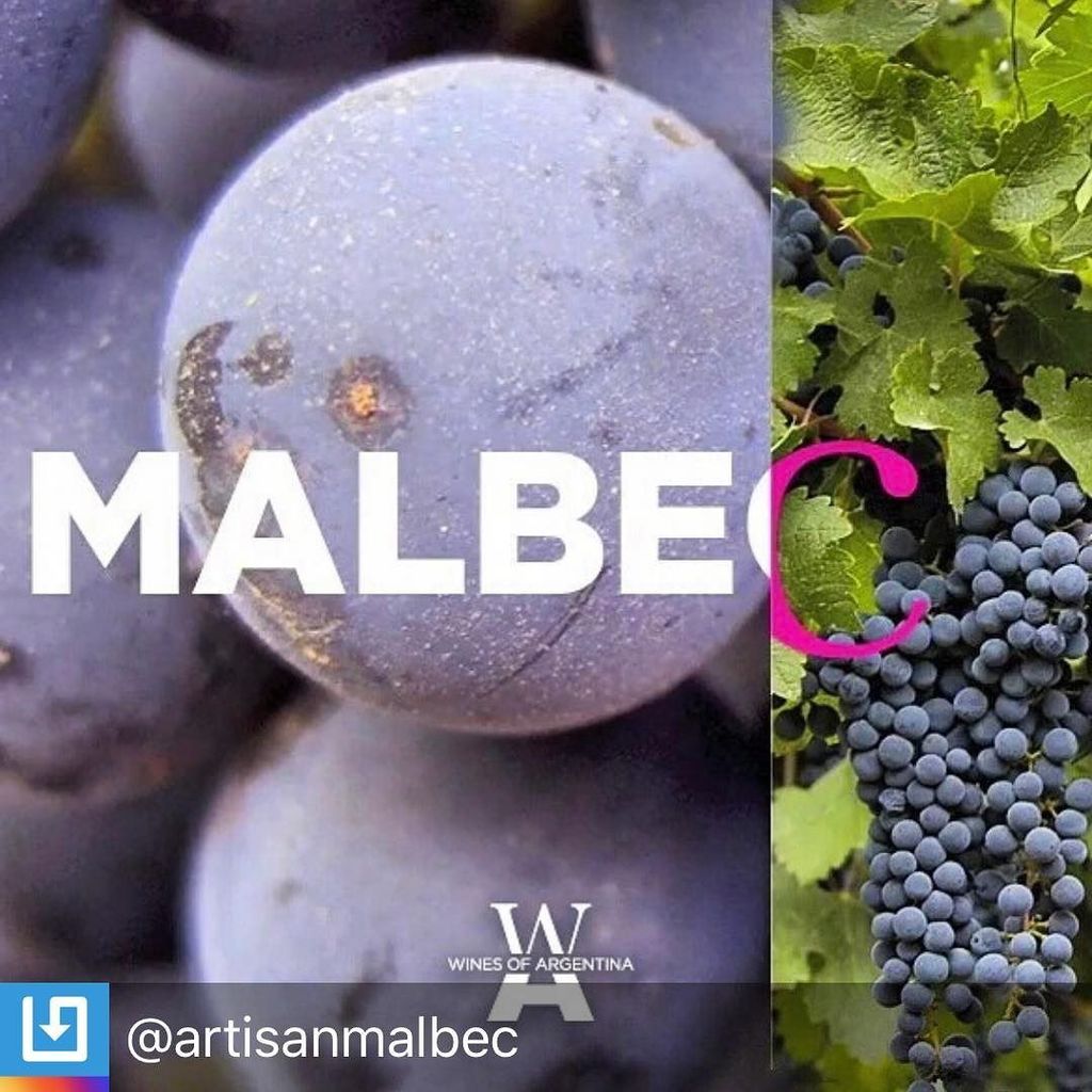 MWDAustralia's tweet photo. RepostBy @artisanmalbec: "Getting ready for a toast of #Malbec on April 17th? Tomorrow is #WORLDMALBECDAY How are … https://t.co/bJvYonKlol https://t.co/64hvoqDhmy