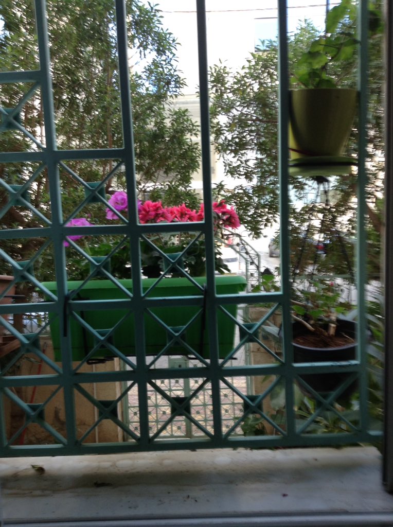 rouquia's tweet photo. #Flowers #spring #nature #windowview #florishing #colouredflowers
Coloring my day flowers from my sitting room window a view makes me happy https://t.co/x6Y5I6hzO5
