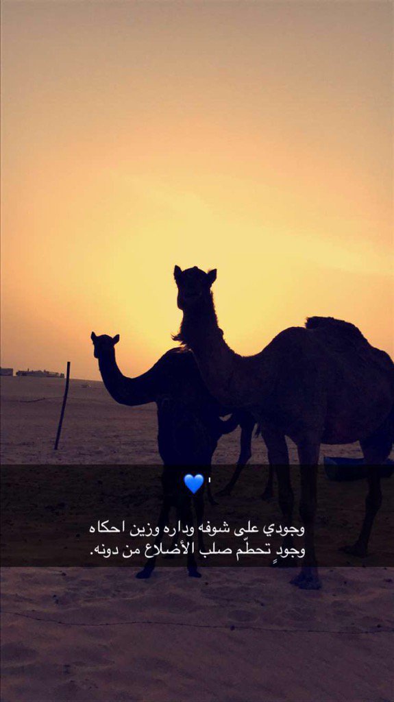 h7128's tweet photo. ✋️💙 https://t.co/8uzecvk84g
