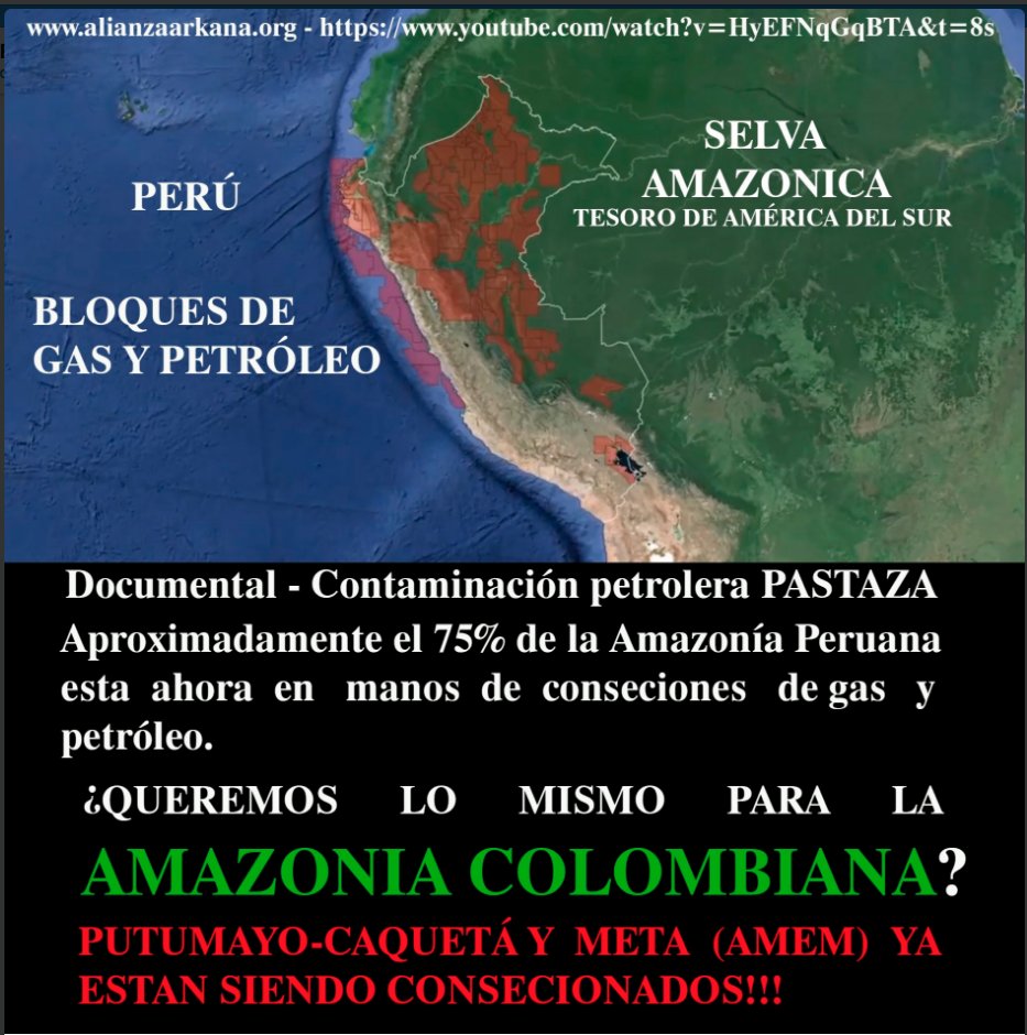 manuel_rodb's tweet photo. Con las concesiones petroleras y mineras en la región amazónica, Colombia está decidiendo  "Bye bye Amazonía". Aquí:
https://t.co/Lvq9VPxSLR https://t.co/Rf9U8rNP3r