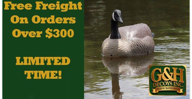 MitchellGertner's tweet image. Don't miss out on our Free Freight deal.