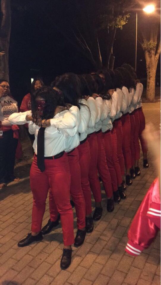 AjeeNichelle's tweet image. Because DELTA SIGMA THETA is the ONLY way!!! #7 #AlphaPi #DSTurbance ❤️🐘