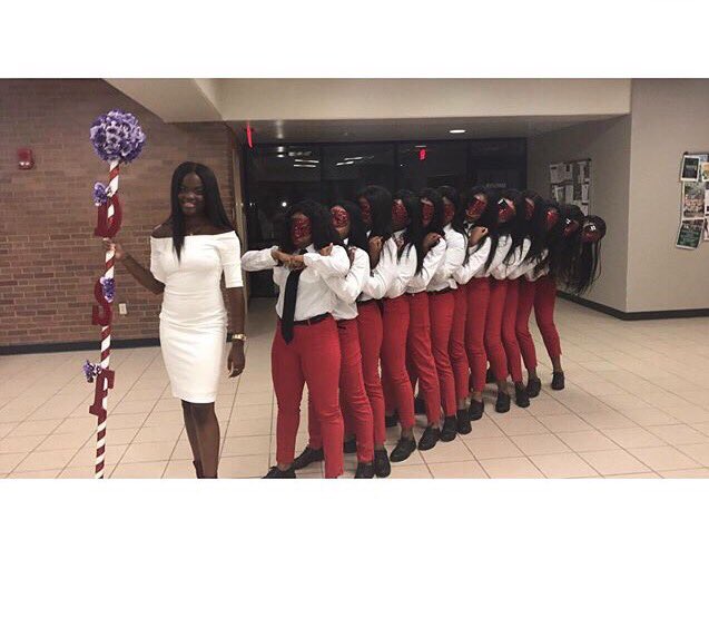 AjeeNichelle's tweet image. Because DELTA SIGMA THETA is the ONLY way!!! #7 #AlphaPi #DSTurbance ❤️🐘