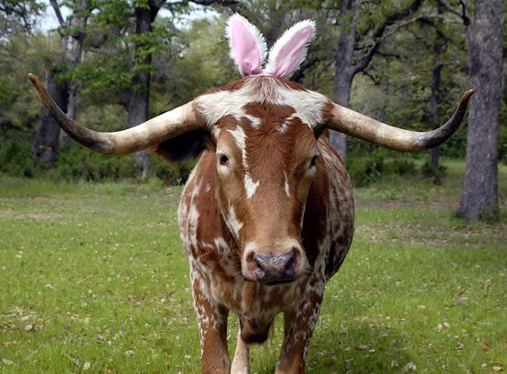 SorryImTexan's tweet photo. Happy Easter, y'all! https://t.co/ZjfnhE4Zt2