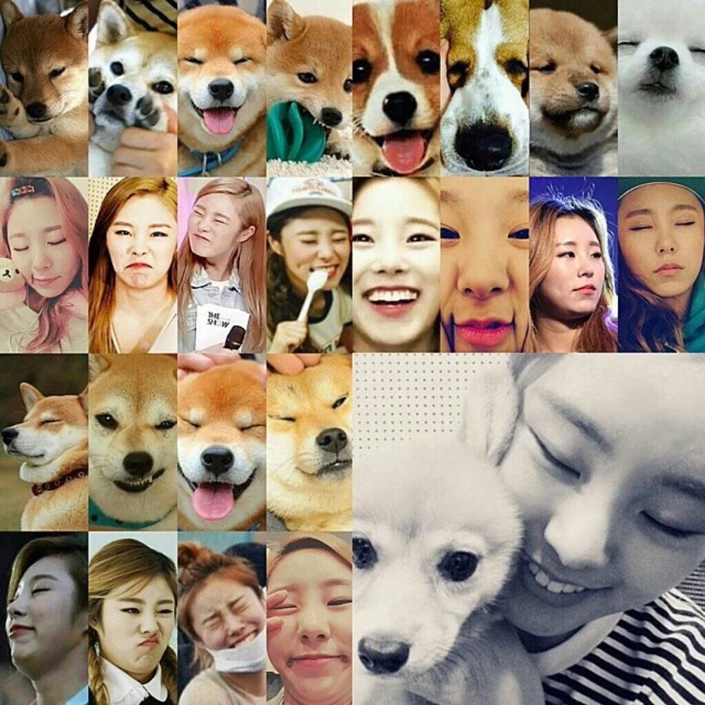 MamamooUK's tweet photo. Hahahahaha 
#HappyWheeinDay https://t.co/eRQJkrbTJu