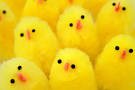 Happy Easter to all our Hens (and chicks😉) from all of us here at <a href="/Hen_Ideas/">Hen Weekend Ideas</a>