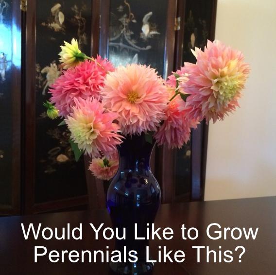 fishnure's tweet image. Use Fishnure and your perennials will keep coming back year after year. fishnure.com