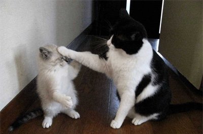 時には厳しくも、甘い一手を。