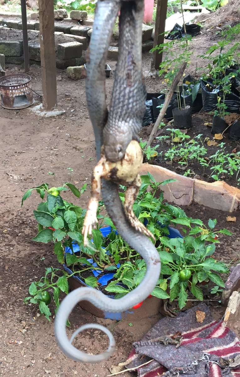 James Adair tweet media