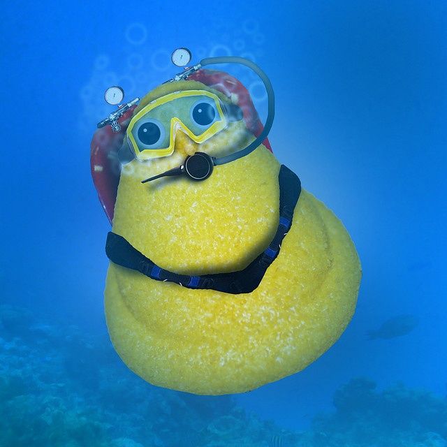seashorehomescc's tweet photo. This #Easter, hope you do something fun... Like "Peep Sea Diving"

#peeps #livebythesea #welovecapecod #weloverealestate #capecodhomebuilder https://t.co/k50N9Bbee9