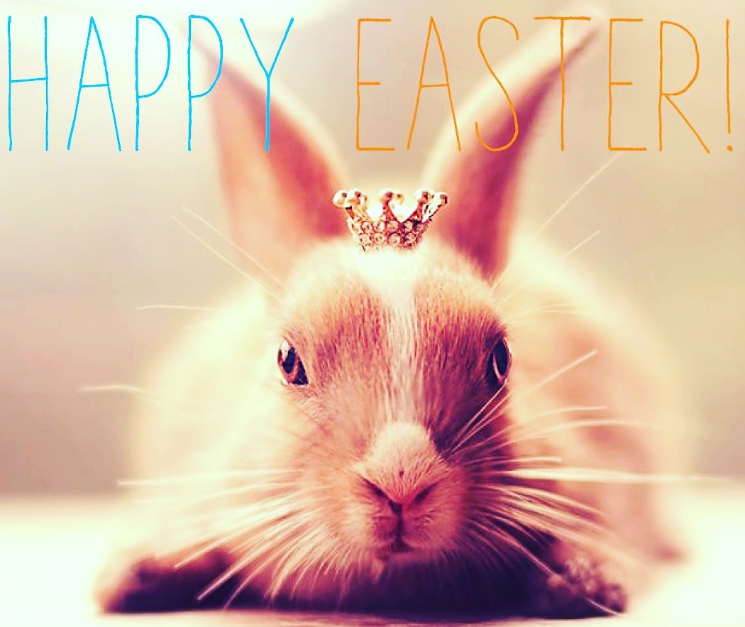 EdelmanGER's tweet image. Keep calm and hop on! #edelmanergo #froheostern