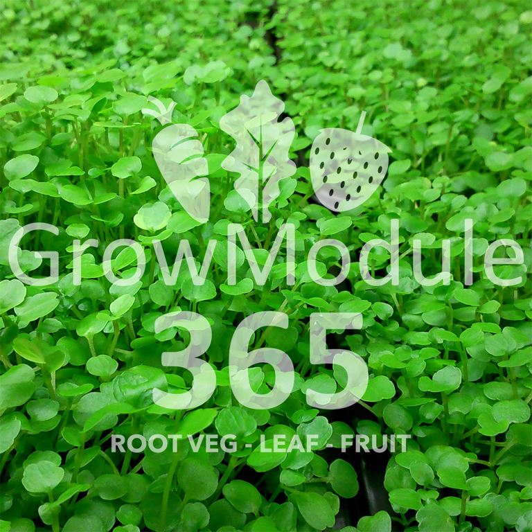 growmodule365's tweet photo. You'll always have greens for your salad with #GrowModule365! Great tasting produce in a #sustainable growing system! #NationalGardeningWeek https://t.co/8KA0eBfgLN
