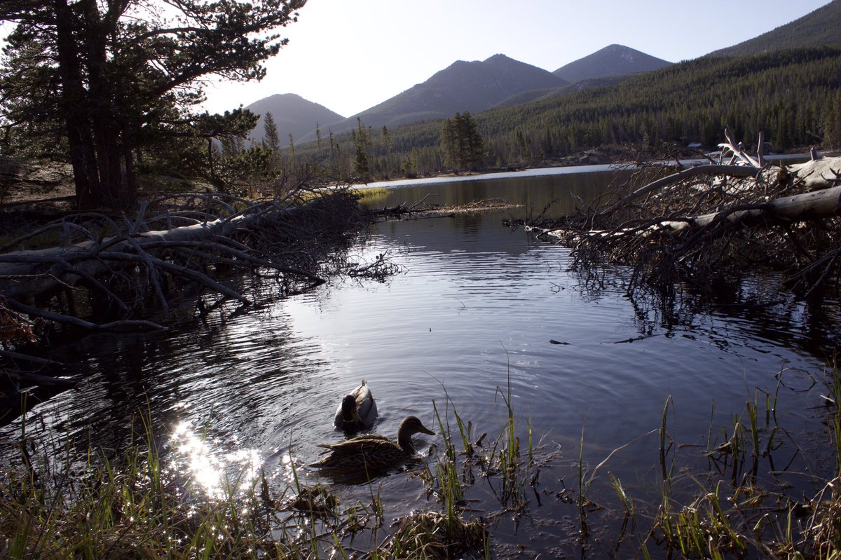 Enjoy some peace and quiet today #HappyEaster #Colorado #exploremore #keepitwild #SundayMorning #SundayFunday #naturelove #NaturePhotography
