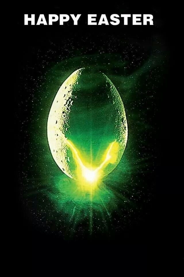 Secureteam10 (@secureteam10) on Twitter photo 