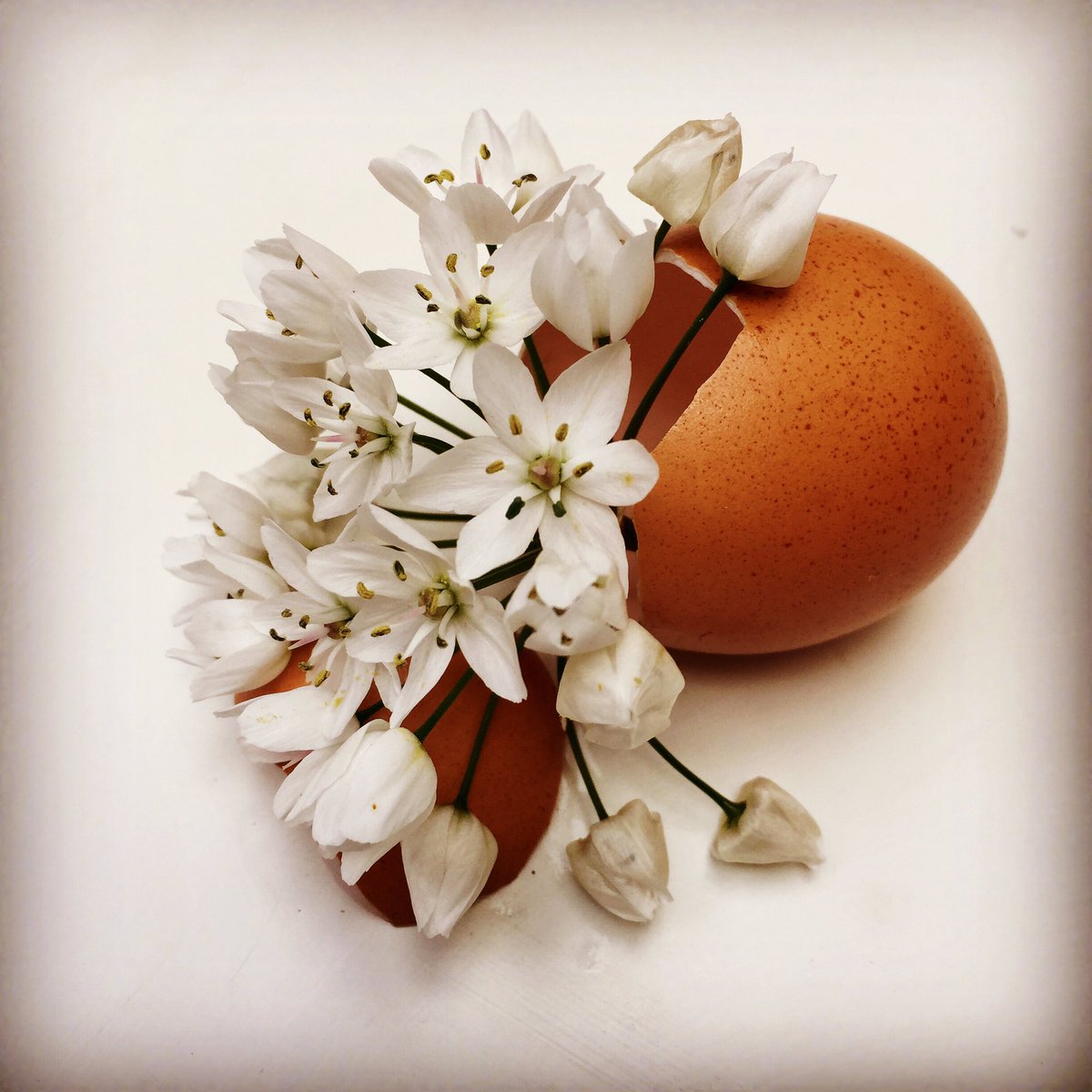 Happy Easter!!