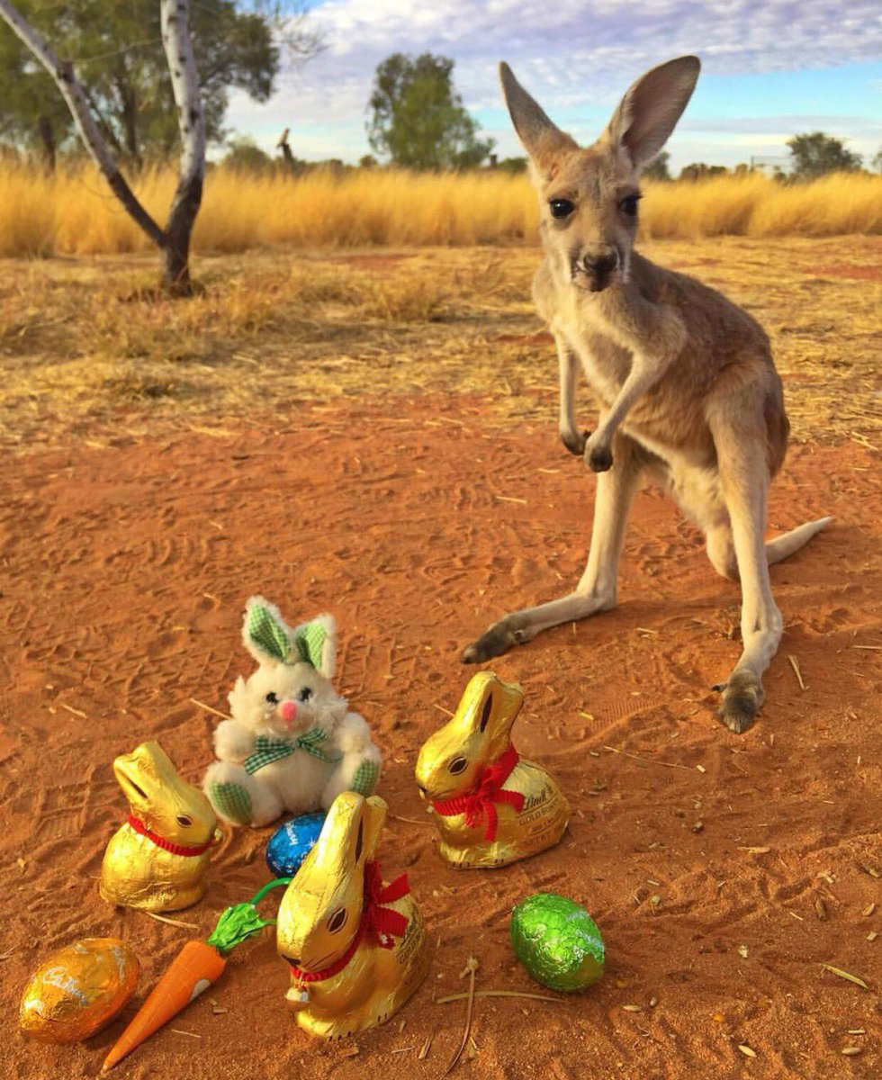 NatureOnPoint's tweet image. 