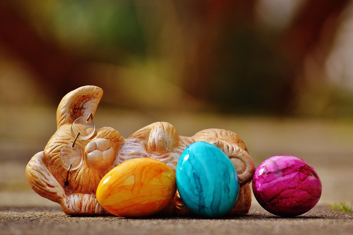 dockofthebayuk's tweet photo. Happy Easter! Hope the Easter bunny has treated you! 🐣 #Easter #ssrange #fashion https://t.co/iuPWqcSeyG