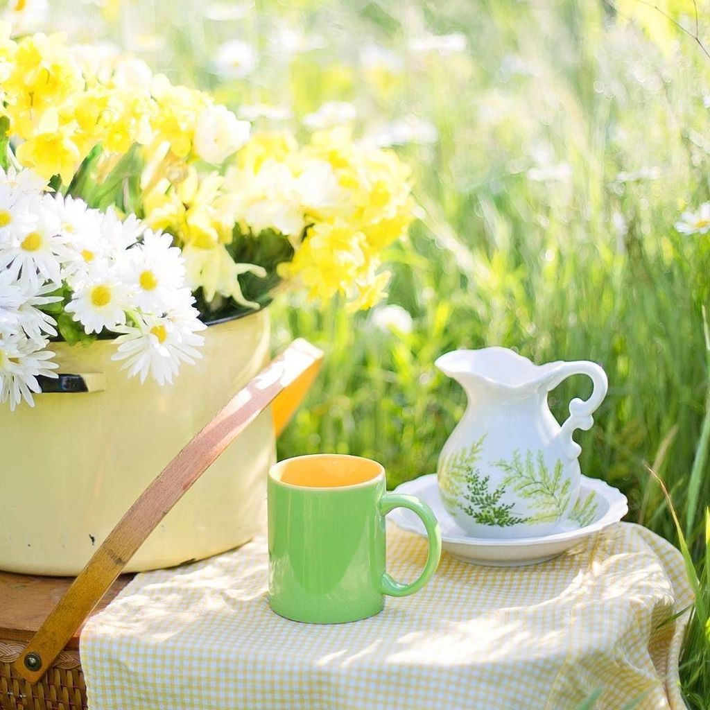 TeaIntention's tweet image. Happy Sunday! What tea flavor is everyone going to make today?... ift.tt/2nRArWO