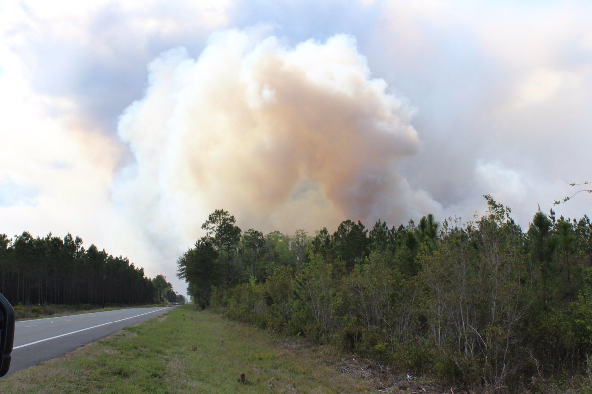 #WestMimsFire at Okefenokee NWR is now 18,851 acres and 3% contained last night fire made a push to the west #GAfire #FLfire #USFWS