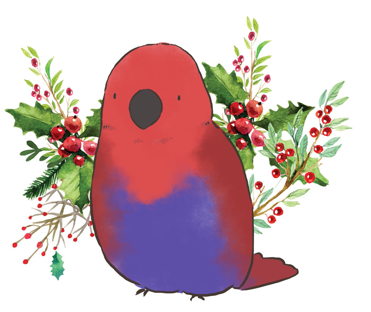 Drop Bird かえで カレンダーイラスト12月担当のモデルさんはこちら オオハナインコの理璃ちゃんです 鮮やかな色の羽が美しい鳥さんです Drop Bird かえで カレンダーイラスト12月担当のモデルさんはこちら オオハナインコの理璃ちゃんです 鮮やかな色の羽が美しい鳥さんです