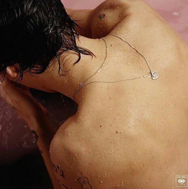 BobylevaA's tweet image. #ProudOfHarry 😘😘😍❤