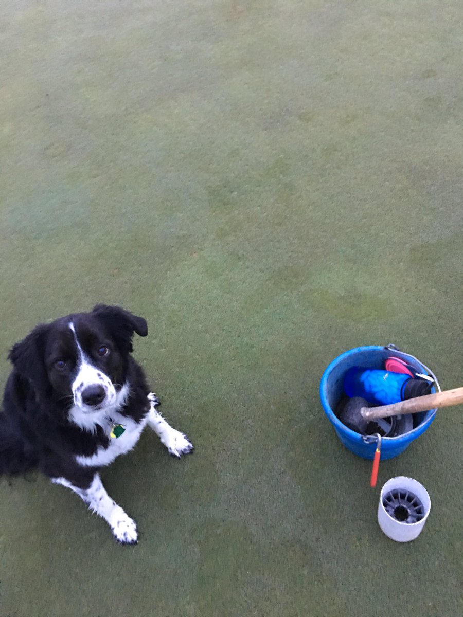 Adams Pointe Golf tweet media