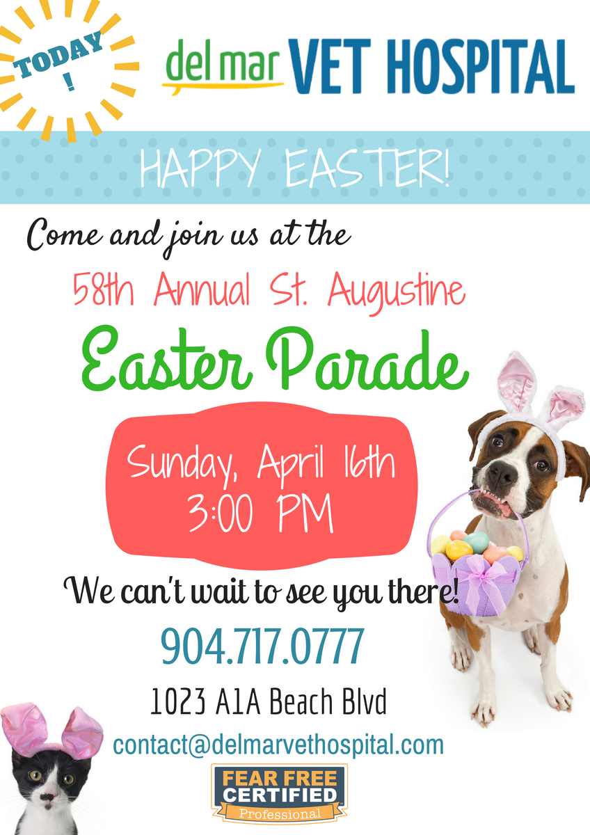 DelMarVet's tweet photo. Who is going to the Easter Parade? We hope to see you there! #happyeaster #staugustineeasterparade #easter #staugustine  @DelMarVet https://t.co/P4qjgsaCtn