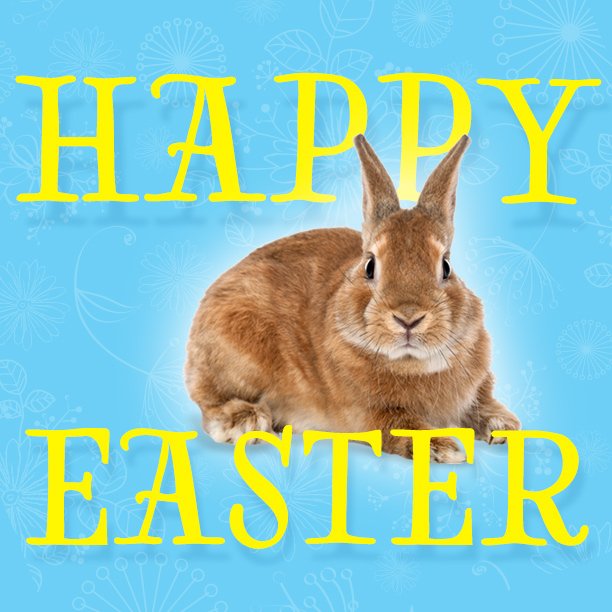AndyMohrFordLM's tweet image. Hoppy Easter every bunny! #AndyMohr #DriveMohr #Easter #Bunny
