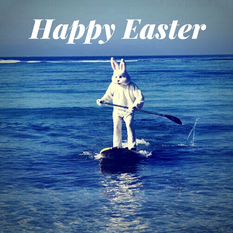 alfa_sup's tweet photo. Happy Easter! Have a fantastic day everyone! #SUP #EasterBunny https://t.co/ITdDlLWPf2