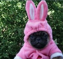 Happy Easter from the Rum Barrel. We hope to see you in here over the next two weeks! 🐰☺