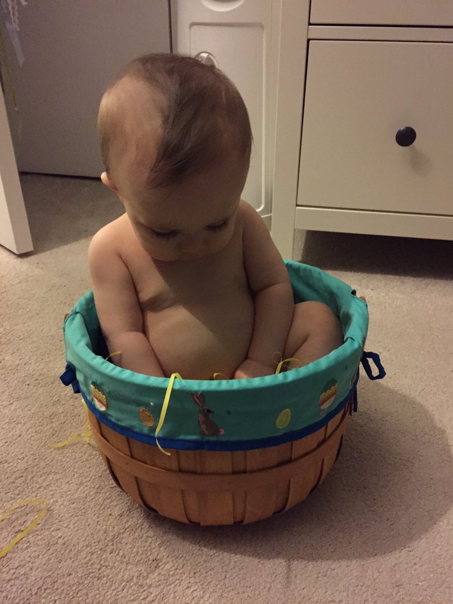 rawlingstidwell's tweet photo. Man, things change quick! Today compared to two years ago #samebasket #timeflies #ToddlerT https://t.co/trrY5ICiRM