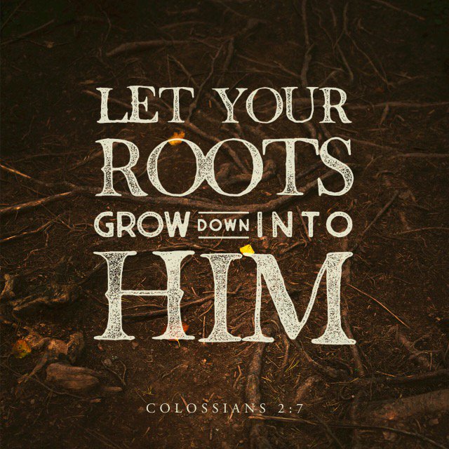 jbremer75's tweet photo. #deeperfaith #growinginjesus  https://t.co/u6EJUu0LC0 https://t.co/YWkDY1Bdby