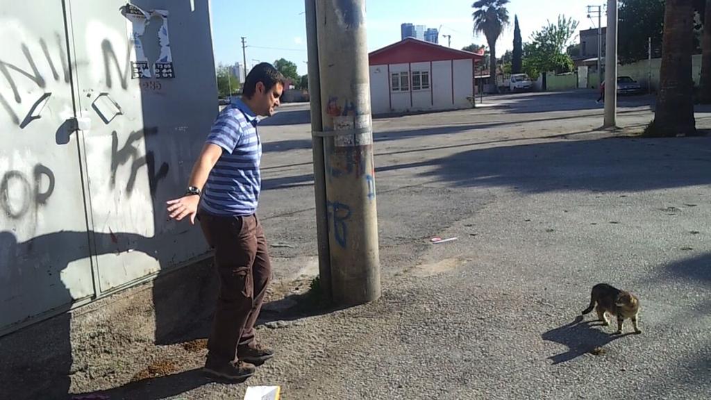 Ben de seçim görevimi yapıyorum.