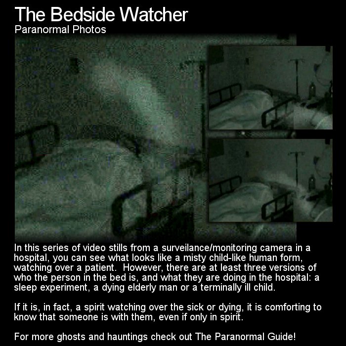 TaintedTales's tweet photo. Paranormal and Strange events #ParanormalGuide #RealStories #Horror @BlackeyedxBlond @GothicLibrary13 @DetectiveCreeps https://t.co/mlMUIFzBWX