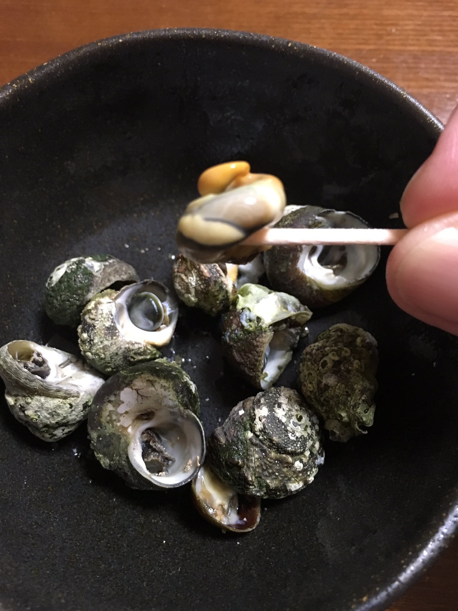 R産託 アカクラゲも出てきたという事で 初夏頃から採れるビナ貝もボチボチの大きさで岩場に隠れていました 家で塩茹でするととても美味しいです R産託 アカクラゲも出てきたという事で 初夏頃から採れるビナ貝もボチボチの大きさで岩場に隠れていました 家で塩茹でするととても美味しいです