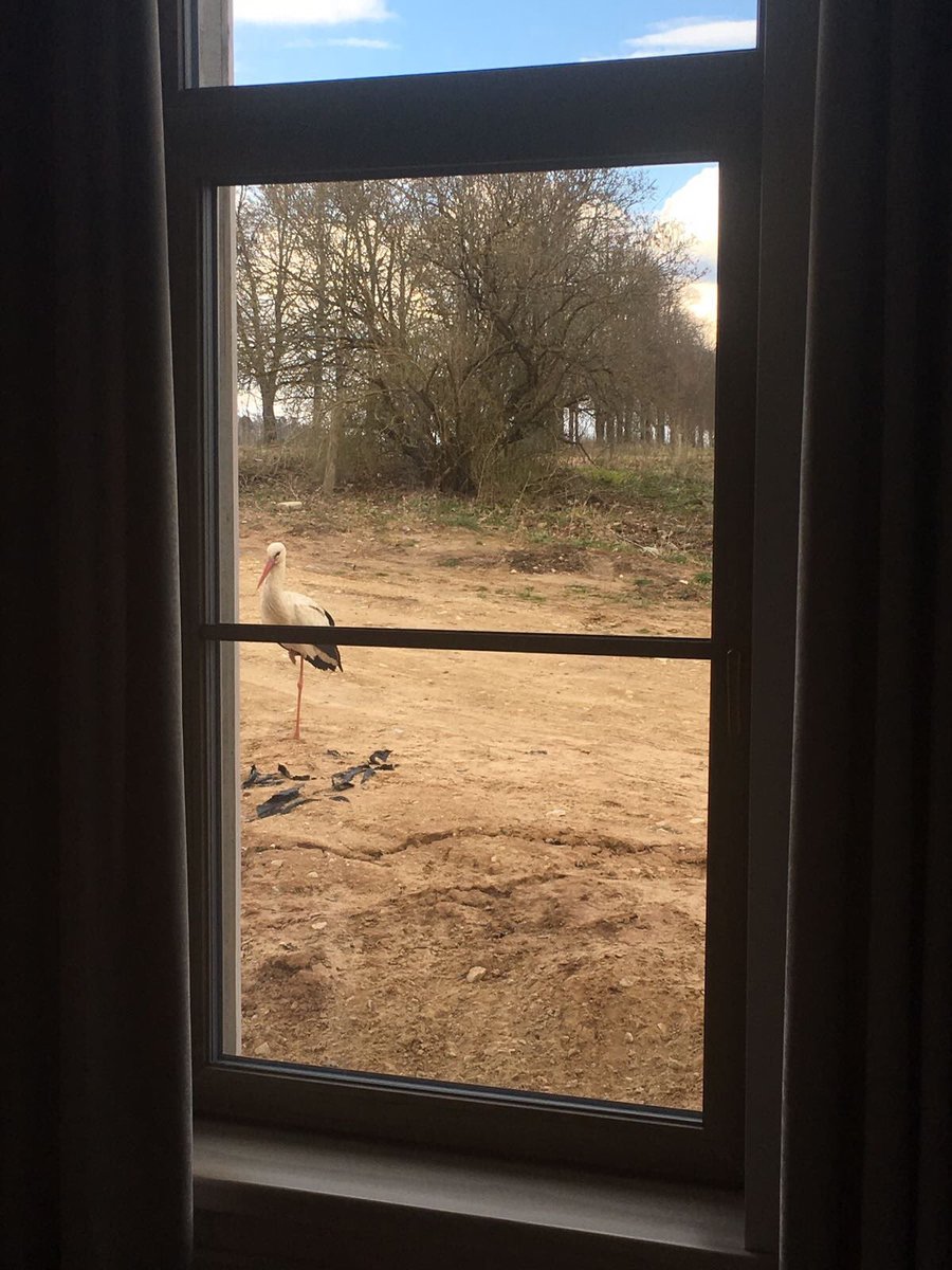 Māja nese uzcelta, varbūt tur iepriekš ir bijusi stārķu ligzda?