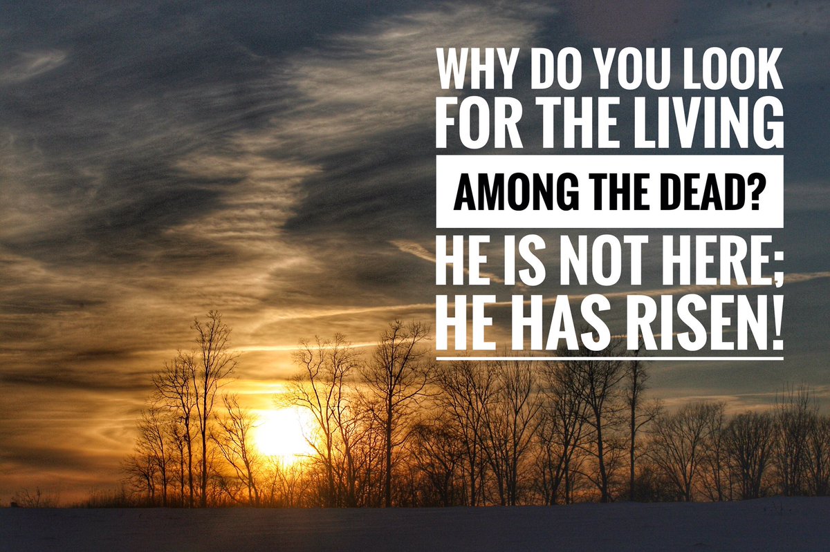 tayloru's tweet image. He is risen! Happy Easter!